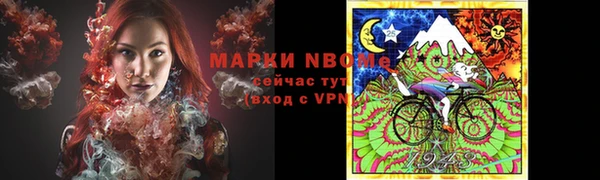 PSILOCYBIN Каменка