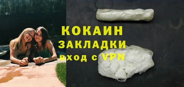 винт Верея