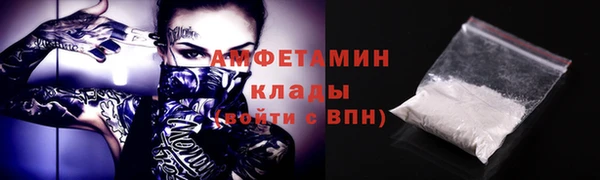 сатива Новокубанск