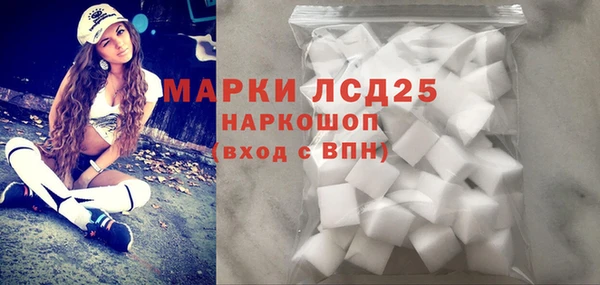 винт Верея