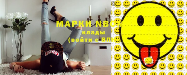 винт Верея