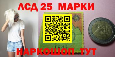 молекула духа Ставрополь