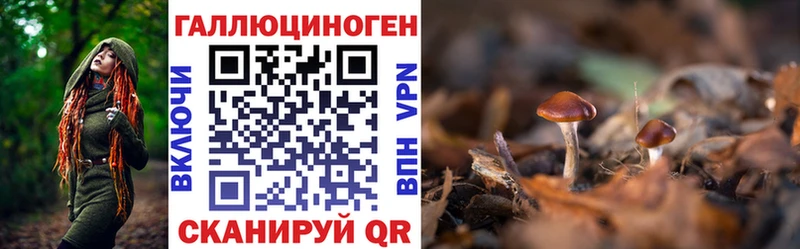 Галлюциногенные грибы мицелий  Северск 