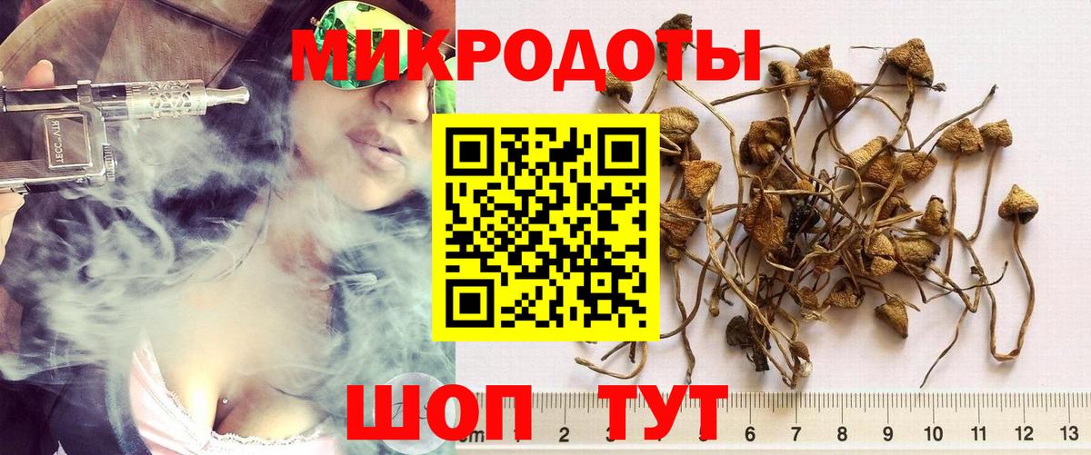Псилоцибиновые грибы мухоморы Северск