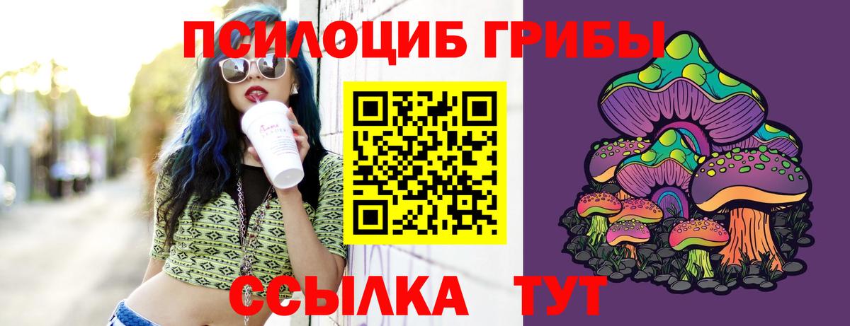 Галлюциногенные грибы мухоморы  Вход с VPN  Северск 